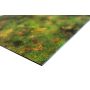 Trawiasta Równina  48”x36” / 122x91,5 cm - dwustronna mata gumowa